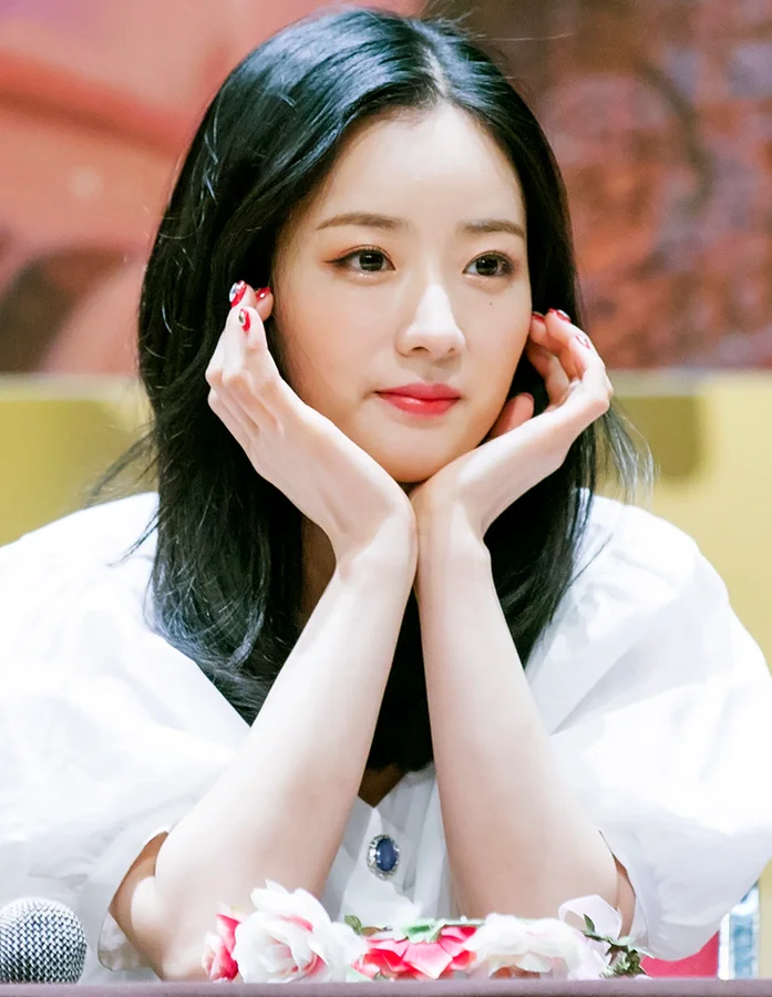 윤보미 프로필